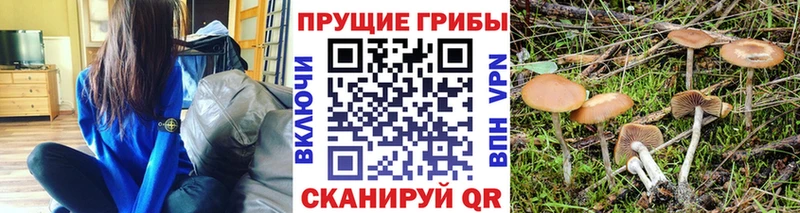 Купить где  Партизанск  Галлюциногенные грибы MAGIC MUSHROOMS 